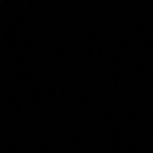 Meet your Posher, Liz